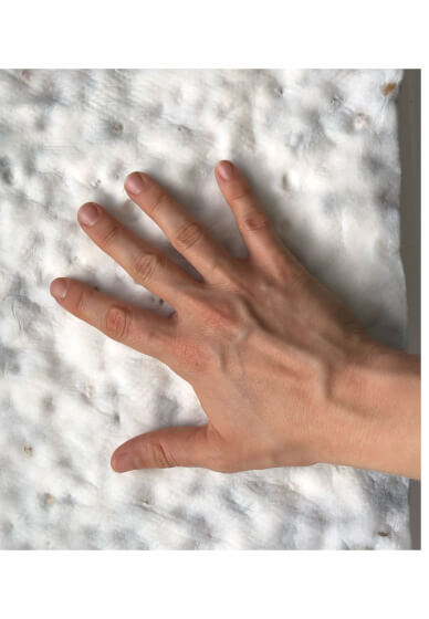 Tempeh Making Workshop