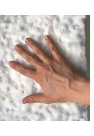 Tempeh Making Workshop