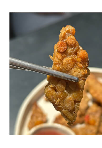 Tempeh Making Workshop