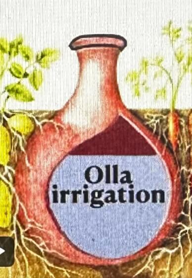 Terracotta Garden Olla Pot Workshop