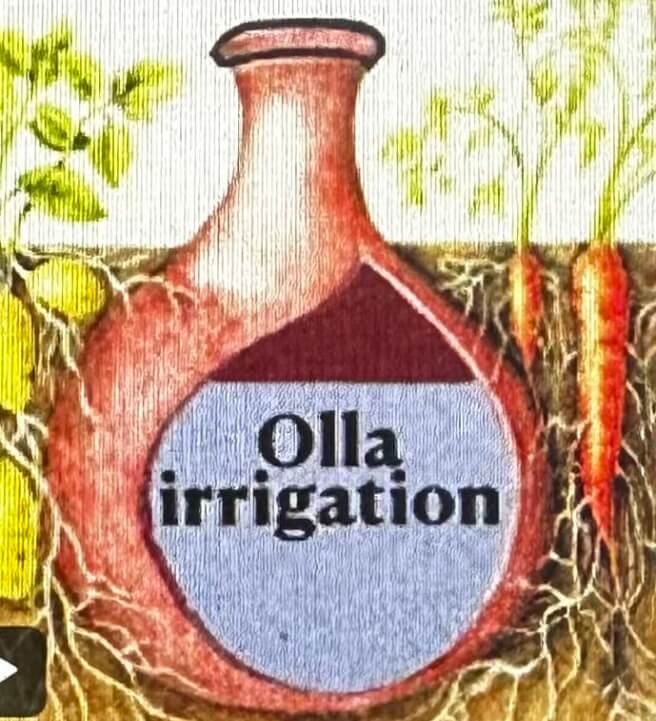 Terracotta Garden Olla Pot Workshop