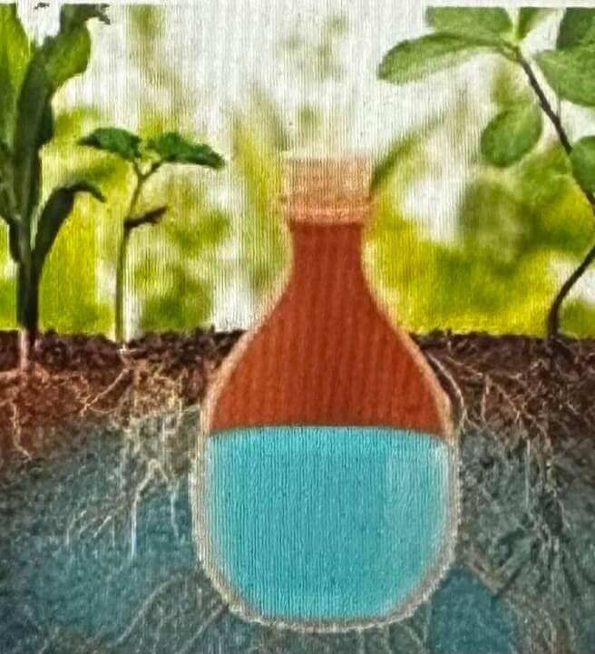 Terracotta Garden Olla Pot Workshop