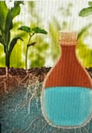 Terracotta Garden Olla Pot Workshop