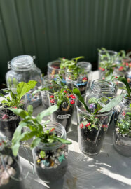 Terrarium and Sip Workshop