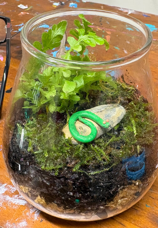 Terrarium Class