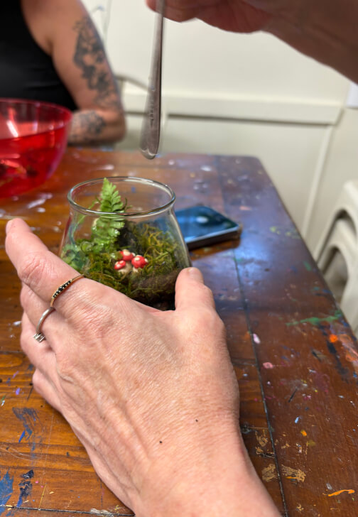 Terrarium Class