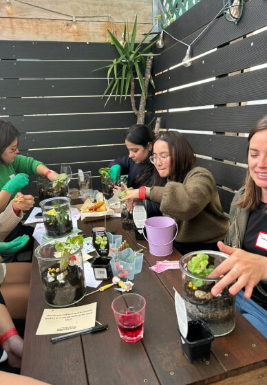 Terrarium Making Workshop