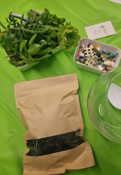 Terrarium Making Workshop