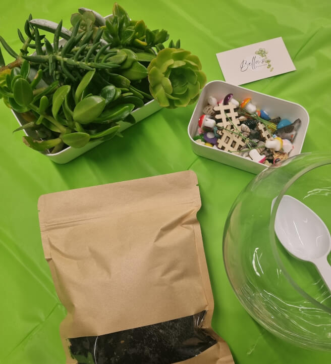 Terrarium Making Workshop