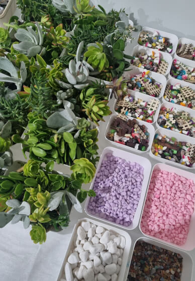 Terrarium Making Workshop