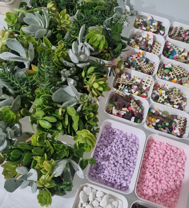 Terrarium Making Workshop