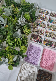 Terrarium Making Workshop