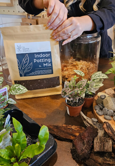 Terrarium Making Workshop