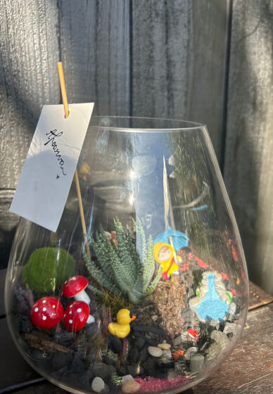 Terrarium Making Workshop
