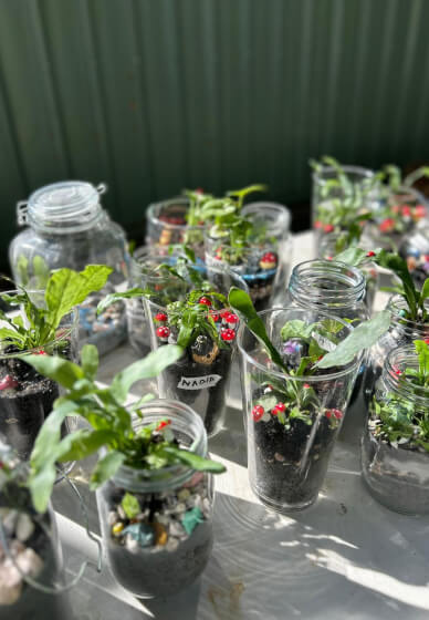 Terrarium Making Workshop