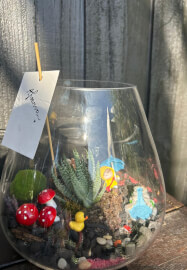 Terrarium Making Workshop