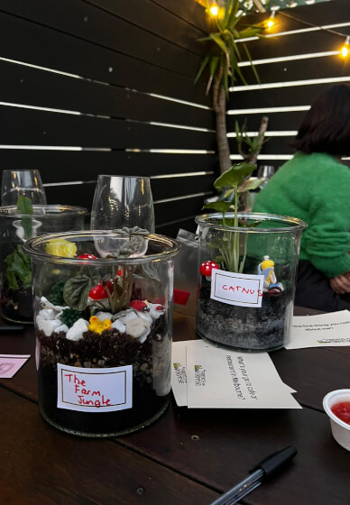 Terrarium Making Workshop