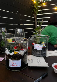 Terrarium Making Workshop