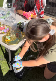 Terrarium Making Workshop