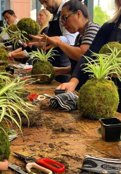 Terrarium or Kokedama Workshop for Team Building