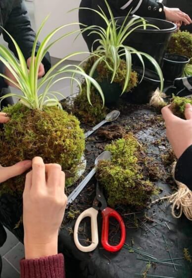 Terrarium or Kokedama Workshop for Team Building