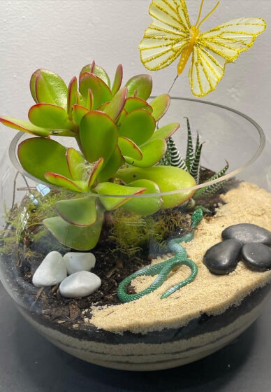 Terrarium or Kokedama Workshop for Team Building