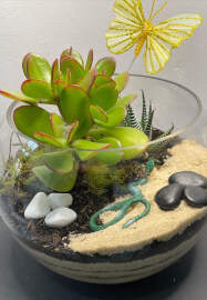 Terrarium or Kokedama Workshop for Team Building