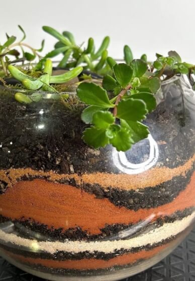 Terrarium or Kokedama Workshop for Team Building