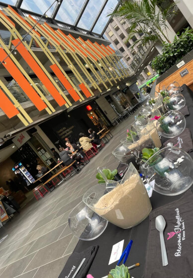 Terrarium or Kokedama Workshop for Team Building