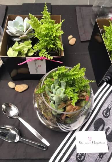 Terrarium or Kokedama Workshop for Team Building