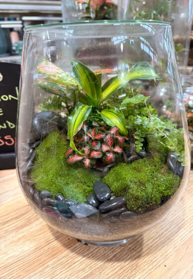 Terrarium Workshop: Build Your Own Glass Garden