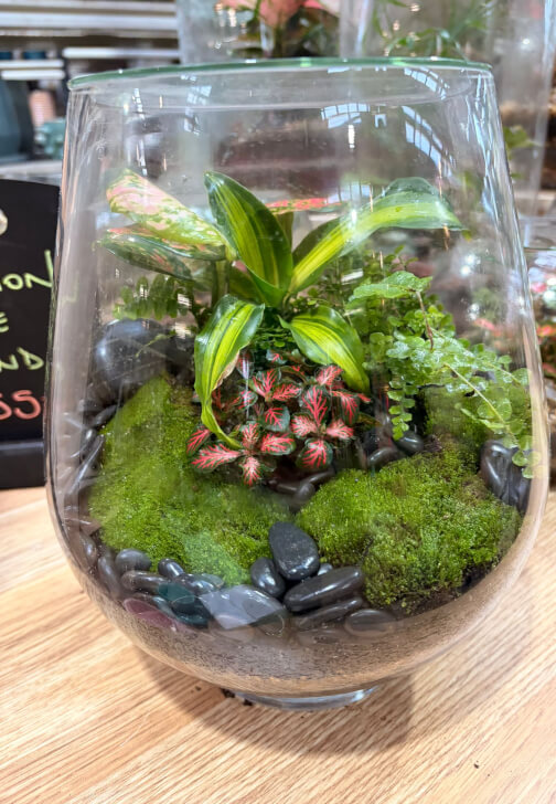 Terrarium Workshop: Build Your Own Glass Garden