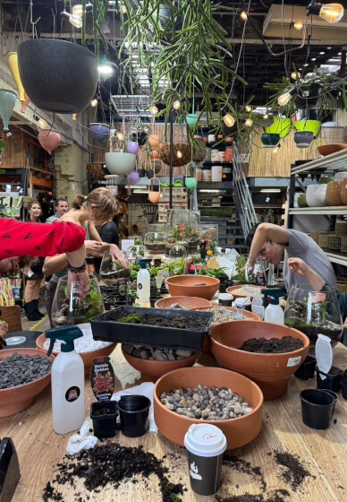 Terrarium Workshop: Build Your Own Glass Garden