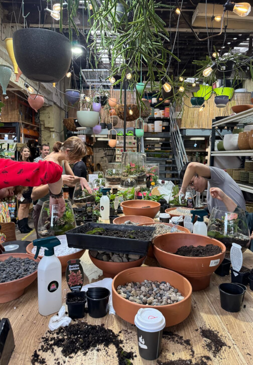 Terrarium Workshop: Build Your Own Glass Garden