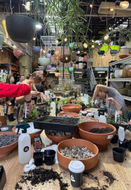 Terrarium Workshop: Build Your Own Glass Garden