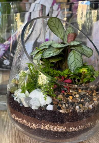 Terrarium Workshop: Build Your Own Glass Garden