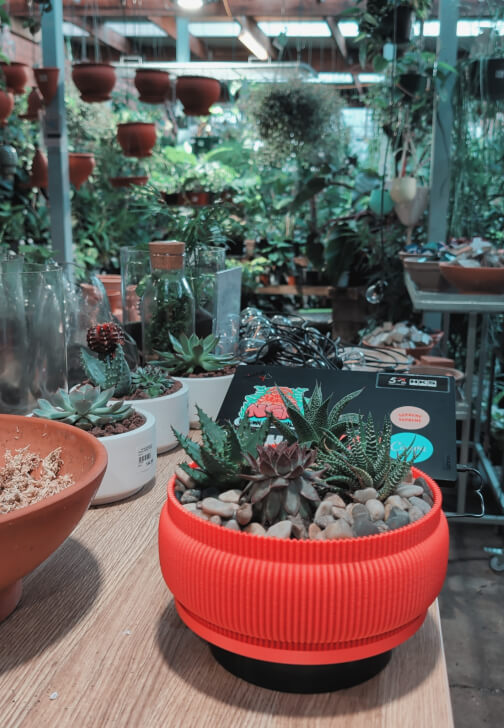Terrarium Workshop: Build Your Own Glass Garden