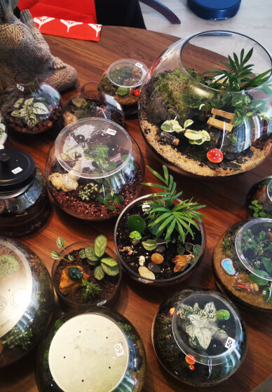 Terrarium Workshop: Create Gardens in a Jar