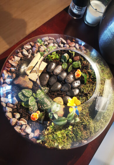 Terrarium Workshop: Create Gardens in a Jar