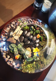 Terrarium Workshop: Create Gardens in a Jar
