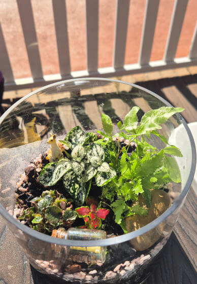 Terrarium Workshop: Create Gardens in a Jar