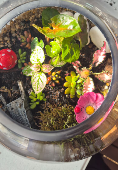 Terrarium Workshop: Create Gardens in a Jar