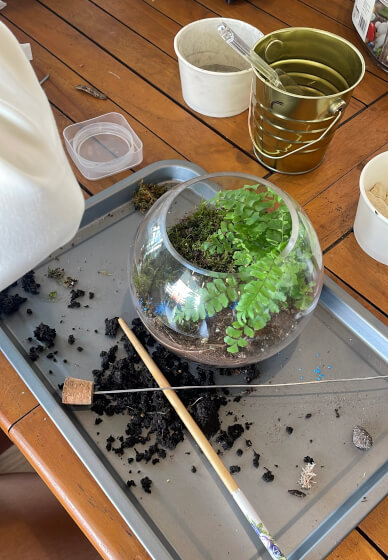 Terrarium Workshop for Kids
