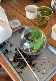 Terrarium Workshop for Kids