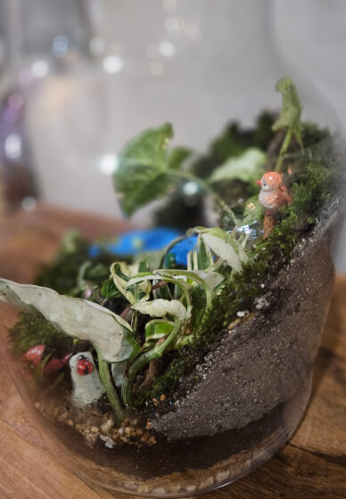 Terrarium Workshop: Making Mud