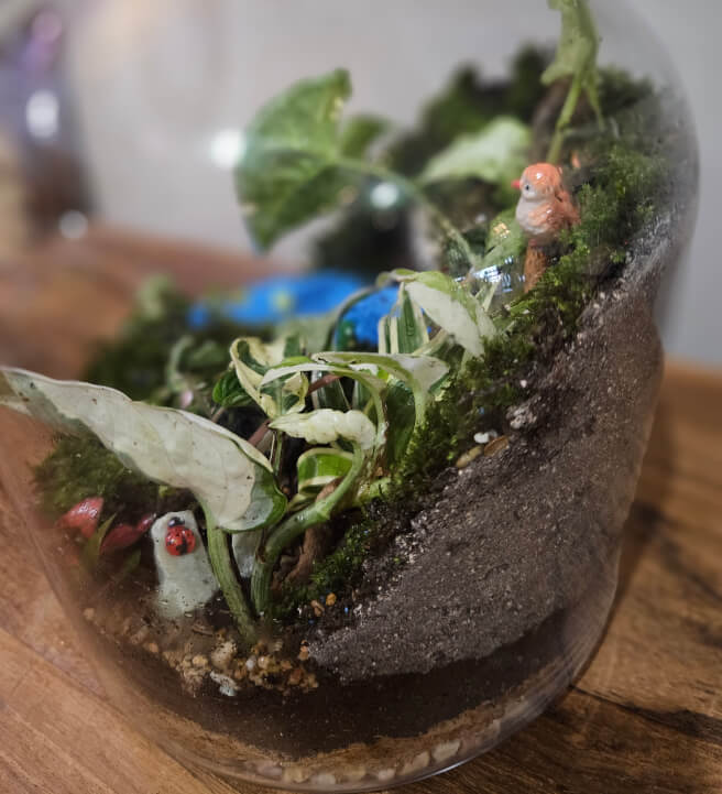 Terrarium Workshop: Making Mud