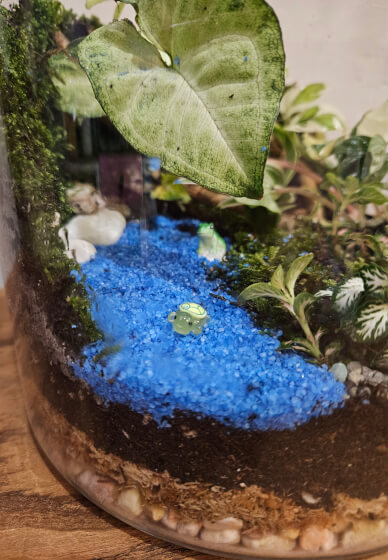 Terrarium Workshop: Making Mud