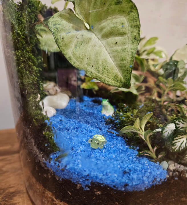 Terrarium Workshop: Making Mud