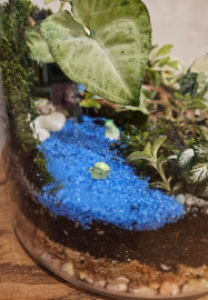 Terrarium Workshop: Making Mud