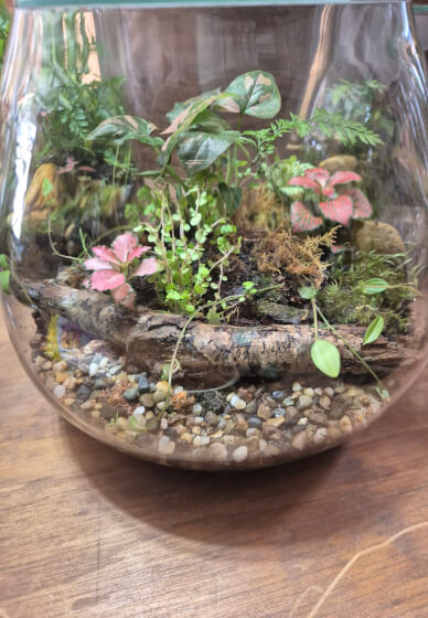 Fishbowl Terrarium Workshop